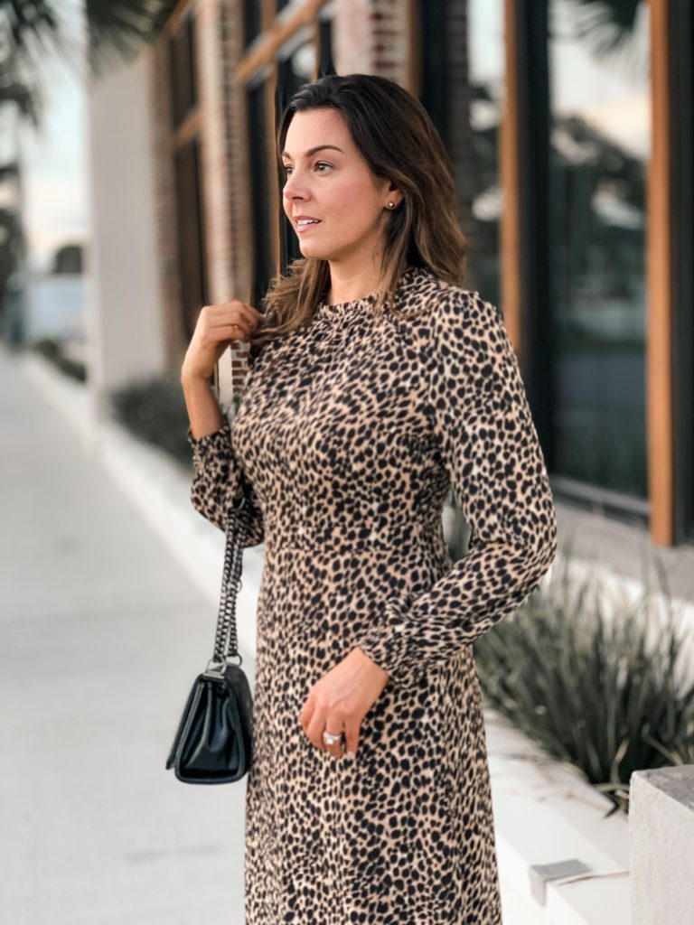 The Best Leopard Print Dress - Her Best 